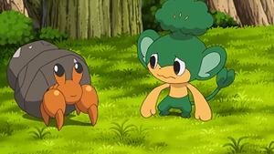 NB031 - Crabicoque de Rachid.png