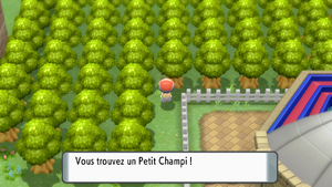Unionpolis Petit Champi DEPS.png