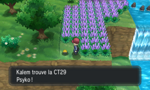 Village Pokémon CT29 XY.png
