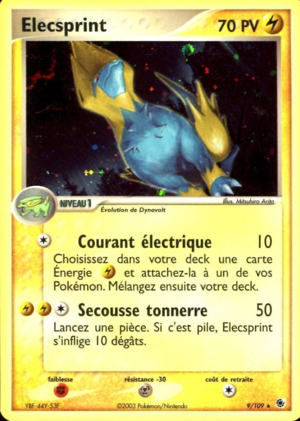 Carte EX Rubis & Saphir 9.png