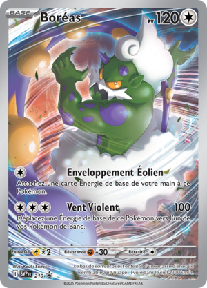 Carte Promo SV 210.png