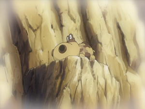 DP065 - Hippopotas (Flash-back).png