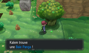Route 22 Baie Panga XY.png