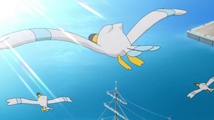 BA N2B2 - Goélise sauvages.png