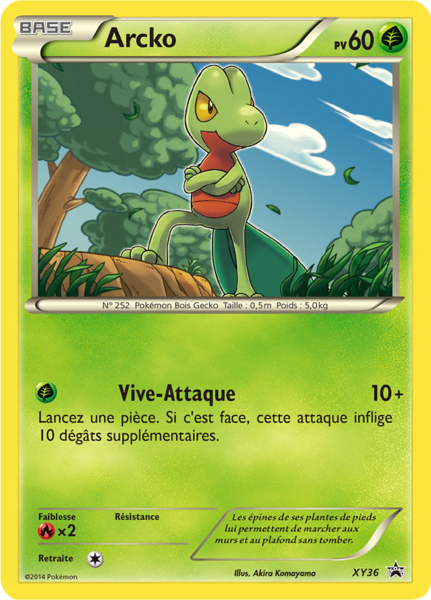 Fichier:Carte Promo XY XY36.png