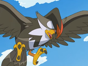 DP132 - Étouraptor de Sacha (Flash-back).png