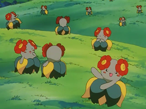 EP239 - Joliflor.png