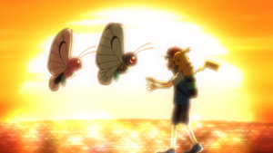 LV136 - Sacha et Papilusion.png