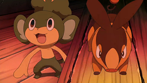 NB008 - Feuillajou de Rachid et Gruikui de Sacha.png