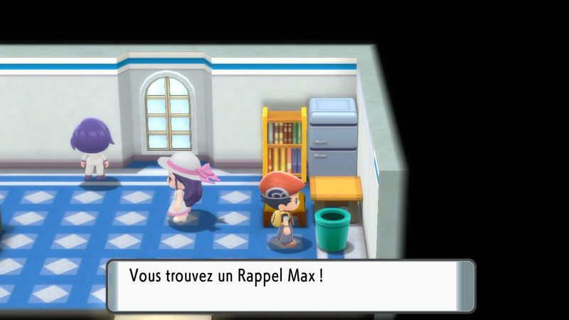 Fichier:Route 213 Rappel Max 1 DEPS.png