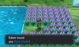 Route 21 Perle Triple XY.png