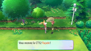 Route 7 CT12 LGPE.png