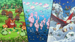 Darumacho sauvage - Film 14 Intro (Blanc).png