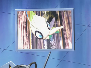 Maître des Mirages - Celebi sauvage.png