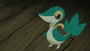 NB008 - Vipélierre de Sacha.png