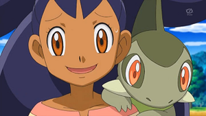 NB028 - Coupenotte d'Iris.png