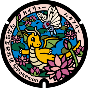 Poké Lid 366 Minami Echizen.png