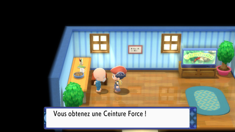 Fichier:Route 221 Ceinture Force DEPS.png