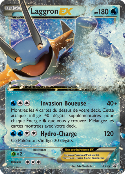 Fichier:Carte Promo XY XY55.png