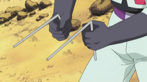 Cherch'objet anime.png