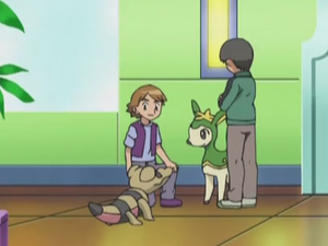 Mascaïman d'Antoine.png