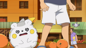 SL083 - Magnéti d'un Dresseur.png