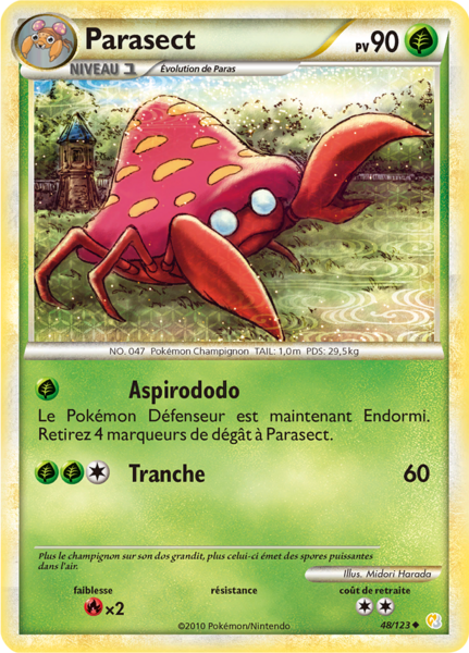 Fichier:Carte HeartGold & SoulSilver 48.png