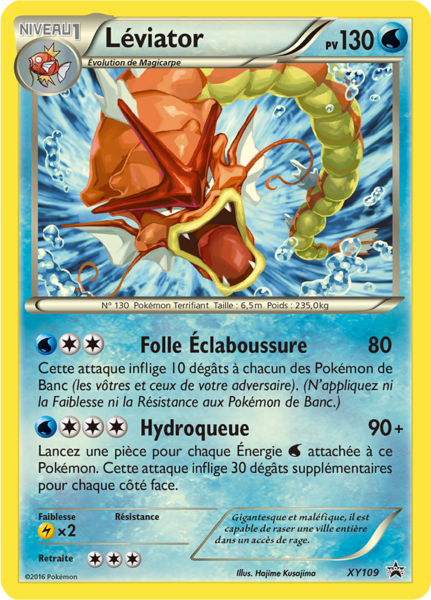 Fichier:Carte Promo XY XY109.png