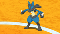 Lucario (de Sacha)