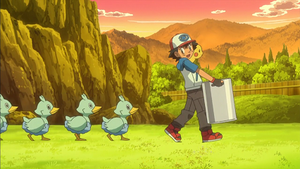 NB056 - Couaneton.png