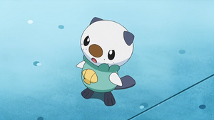 NB093 - Moustillon de Sacha.png