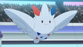 Togekiss (de Cynthia)