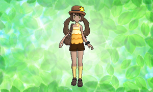 Vidéo Dresseur Décor Feuillage.png