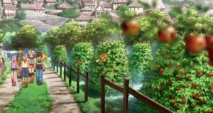 Apitrini sauvages - Film 12.png