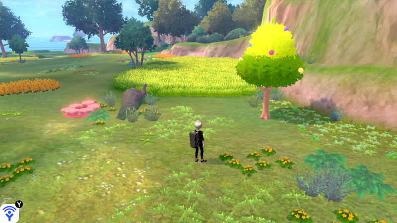 Fichier:Lande Boldair Arbre à Baies 4 EB.png