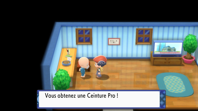 Fichier:Route 221 Ceinture Pro DEPS.png