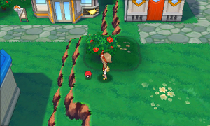 Algatia Rappel ROSA.png