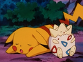 Pikachu (de Sacha) et Togepi (d'Ondine)