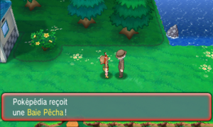Nénucrique Baie Pêcha ROSA.png