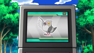 NB002 - Poichigeon Pokédex.png