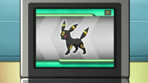 NB004 - Noctali Pokédex.png