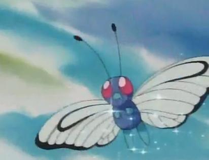 Papilusion Poudre Dodo.png