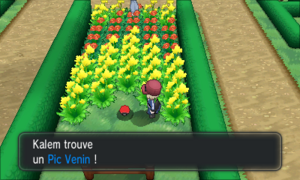 Route 4 Pic Venin XY.png
