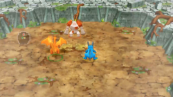 Combat contre Regirock...