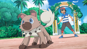 SL019 - Rocabot de Sacha.png