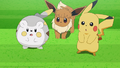 Togedemaru (de Chrys), Évoli (de Néphie) et Pikachu (de Sacha)