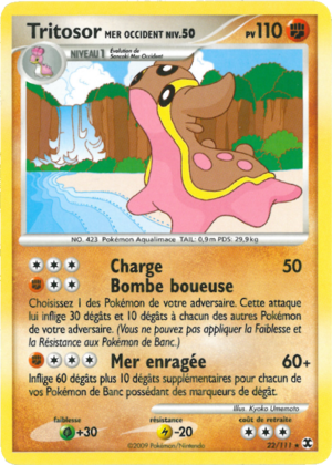 Carte Platine Rivaux Émergeants 22.png