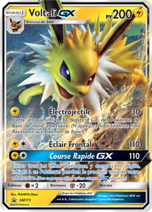 Carte Promo SM SM173.png