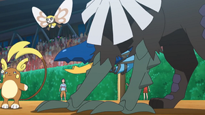 SL129 - Rubombelle d'Oléa.png