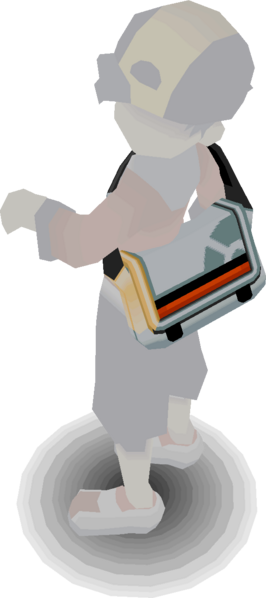 Fichier:Sprite Sac (Médicaments) ♂ HGSS.png